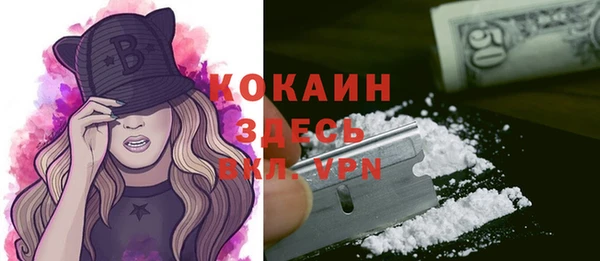 стафф Тихвин