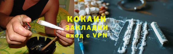шишки Тобольск