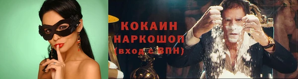 шишки Тобольск