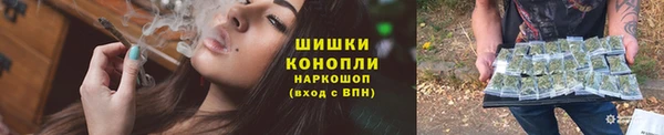 шишки Тобольск