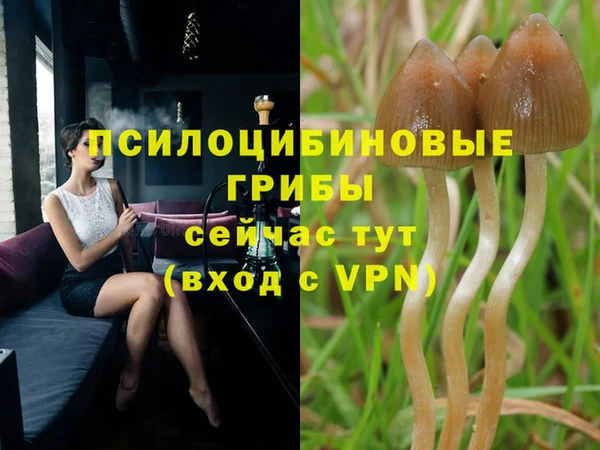 шишки Тобольск