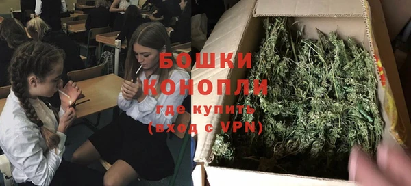 шишки Тобольск