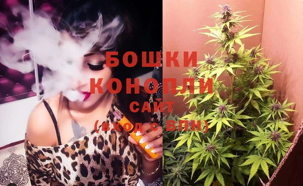 стафф Тихвин