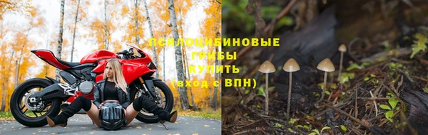 шишки Тобольск
