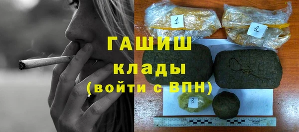 индика Заводоуковск