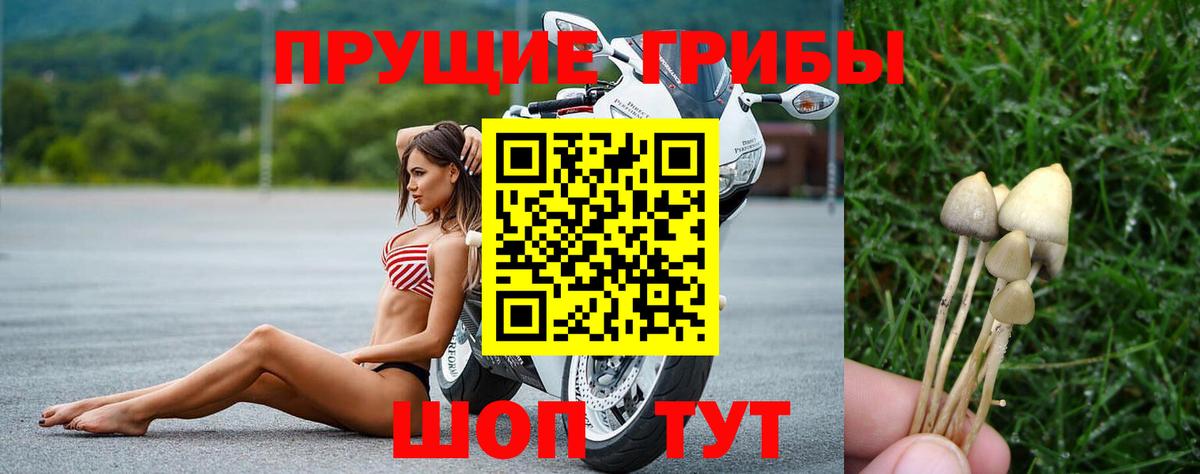 Псилоцибиновые грибы ЛСД Геленджик