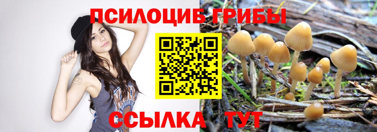 Геленджик  Галлюциногенные грибы Cubensis  Вход с VPN  Псилоцибиновые грибы мухоморы 